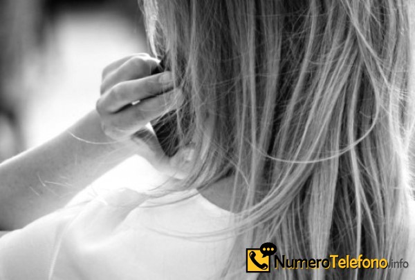 Accede a los detalles de 914102500